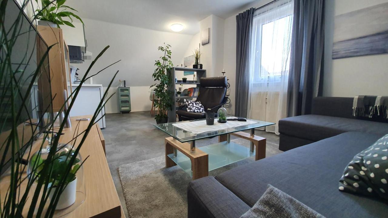 Ferienwohnung Elsa Hungen Buitenkant foto